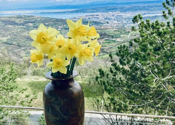 La Lita Διαμέρισμα Šmarje